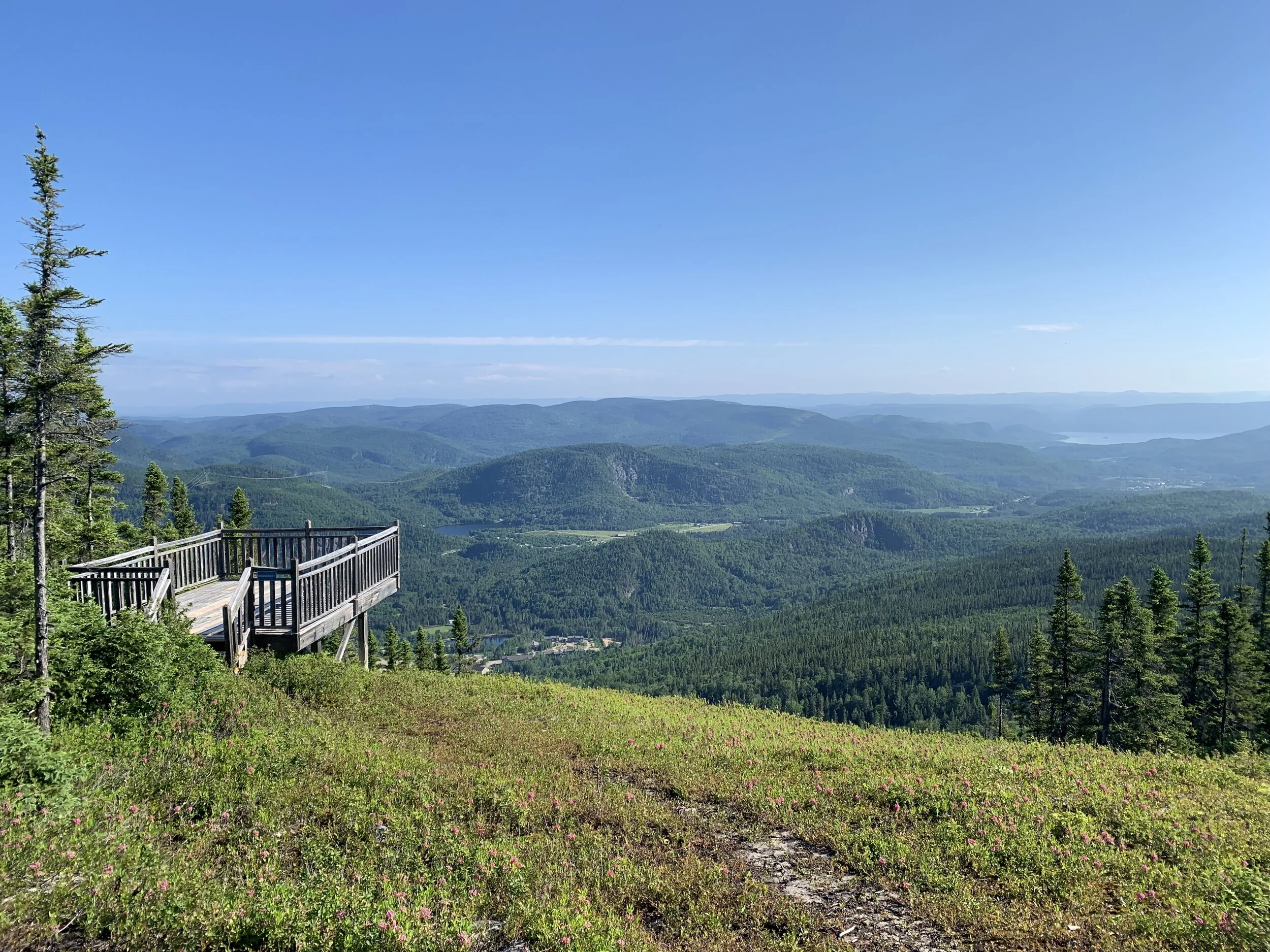 La fjordelaise (numéro 5)
