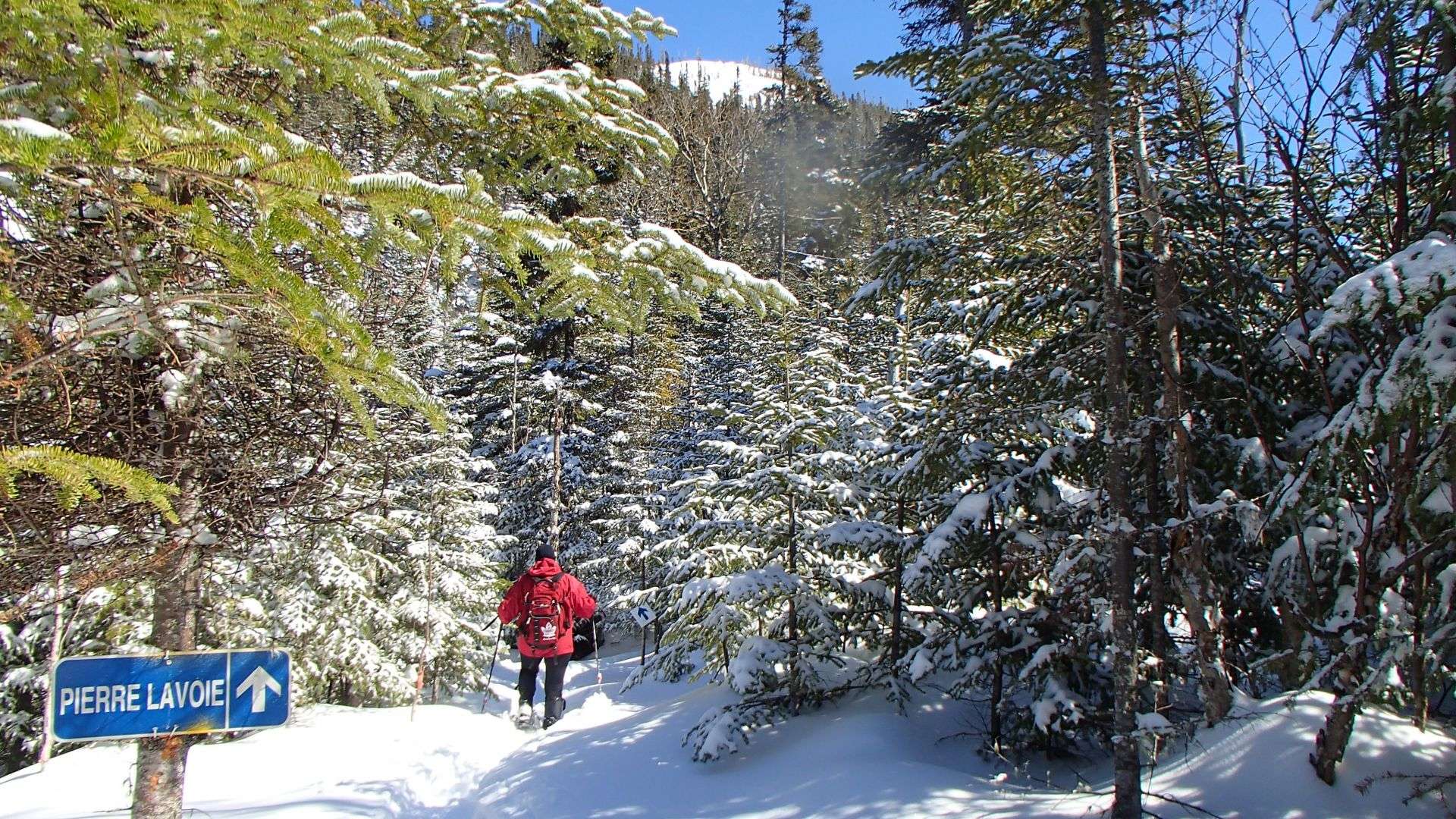 Passe raquette-randonnée